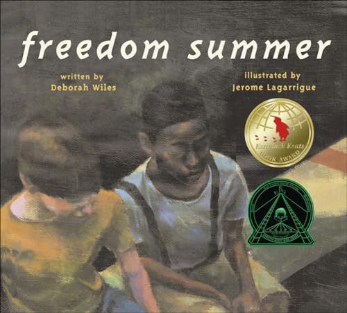 Imagen de archivo de Freedom Summer a la venta por Half Price Books Inc.