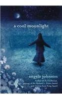Cool Moonlight (9780756952150) by Angela Johnson