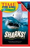 9780756952327: Sharks! (Time for Kids Science Scoops (Prebound))