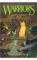 9780756956622: Dangerous Path