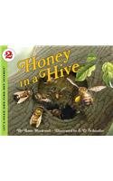 9780756957841: Honey in a Hive (Let's-Read-And-Find-Out Science: Stage 2 (Pb))