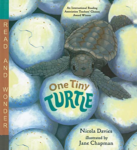 Beispielbild fr One Tiny Turtle (Read and Wonder (Pb)) zum Verkauf von GoldenWavesOfBooks
