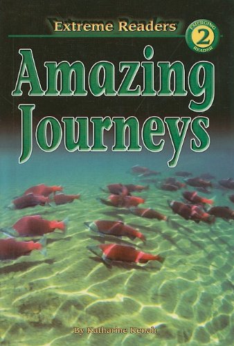 Amazing Journeys (Extreme Readers: Level 2 (Prebound)) (9780756968458) by Katharine Kenah