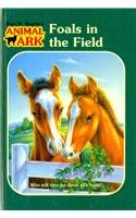 9780756976040: Foals in the Field (Animal Ark (Pb))