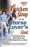 9780757300981: Chicken Soup for the Horse Lovers Soul (Chicken Soup for the Soul)