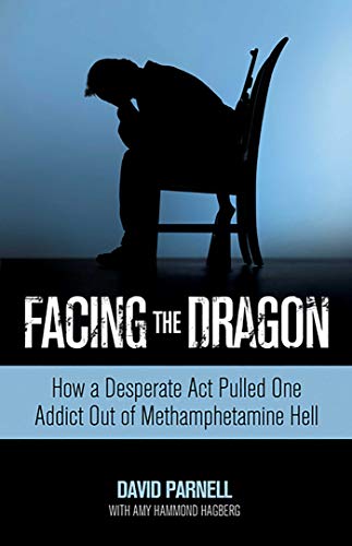 Stock image for Facing the Dragon: How a Desperate Act Pulled One Addict Out of Methamphetamine Hell for sale by Half Price Books Inc.