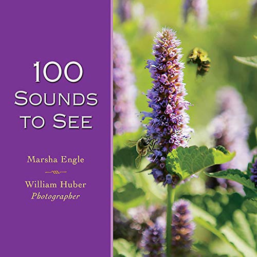 Stock image for 100 Sounds to See for sale by Better World Books