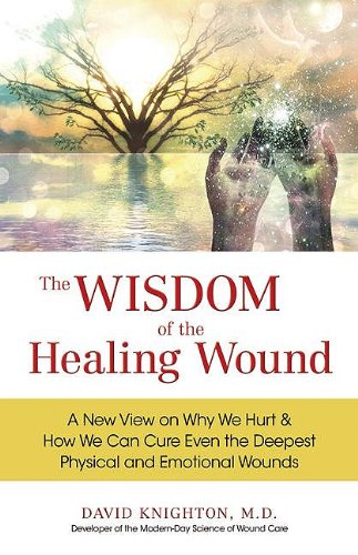Imagen de archivo de The Wisdom of the Healing Wound: A New View on Why We Hurt How We Can Cure Even the Deepest Physical and Emotional Wounds a la venta por Goodwill