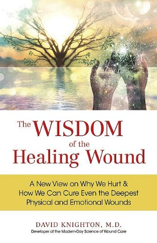 Imagen de archivo de The Wisdom of the Healing Wound: A New View on Why We Hurt & How We Can Cure Even the Deepest Physical and Emotional Wounds a la venta por BooksRun