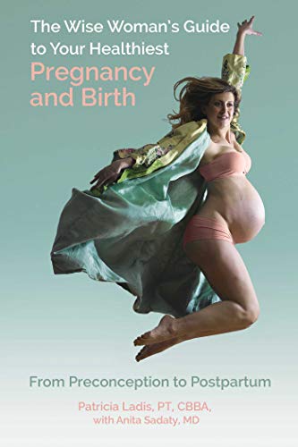 Beispielbild fr The Wise Woman's Guide to Your Healthiest Pregnancy and Birth : From Preconception to Postpartum zum Verkauf von Better World Books