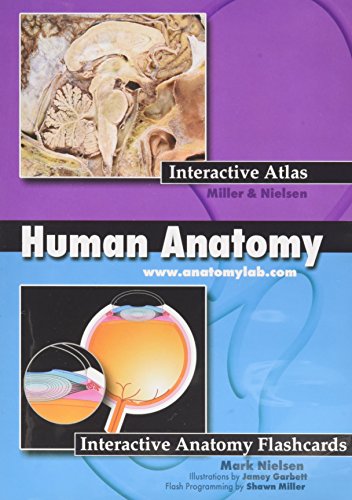 Stock image for Human Anatomy: Interactive Anatomy Flashcards for sale by visionarybook