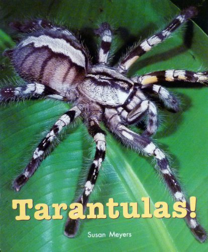 Stock image for Rigby on Our Way to English: Leveled Reader Grade 2 (Level K) Tarantulas! (On Our Way English) for sale by More Than Words