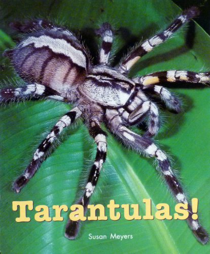 9780757813764: Rigby on Our Way to English: Leveled Reader Grade 2 (Level K) Tarantulas! (On Our Way English)