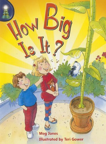 Stock image for Rigby Lighthouse: Individual Student Edition (Levels J-M) How Big Is It? for sale by Wonder Book