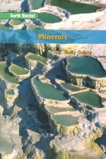 9780757824456: Minerals: Leveled Reader (Rigby on Deck Reading Libraries)