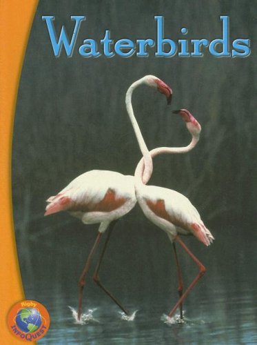 Beispielbild fr Waterbirds zum Verkauf von Better World Books