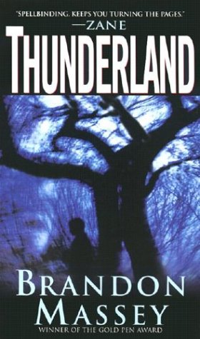 Imagen de archivo de Thunderland a la venta por ThriftBooks-Dallas