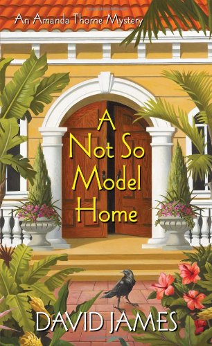 A Not So Model Home (An Amanda Thorne Mystery) (9780758206411) by James, David