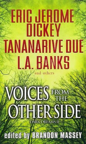 9780758212337: Voices From The Other Side: