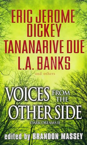 Stock image for Voices from the Other Side for sale by Better World Books