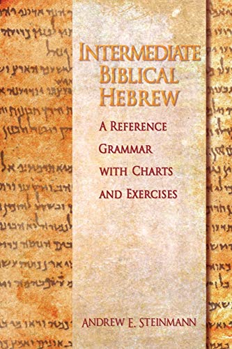 9780758625168: Intermediate Biblical Hebrew
