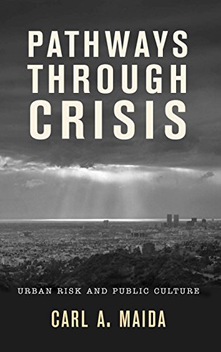 Stock image for Pathways Through Crisis : Urban Risk and Public Culture for sale by Better World Books