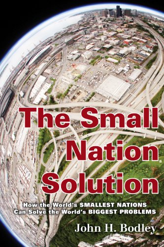 Stock image for The Small Nation Solution: How the World's Smallest Nations Can Solve the World's Biggest Problems for sale by Wizard Books