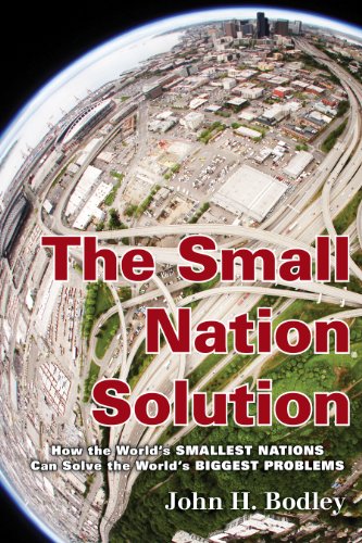 Stock image for The Small Nation Solution : How the World's Smallest Nations Can Solve the World's Biggest Problems for sale by Better World Books: West