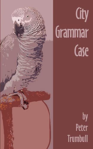 9780759635081: City Grammar Case