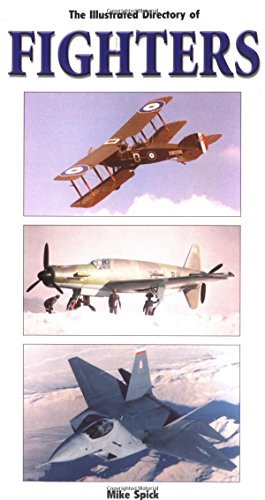 Immagine stock per The Illustrated Directory of Fighters