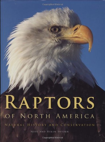 Imagen de archivo de Raptors of North America : Natural History and Conservation a la venta por Better World Books: West