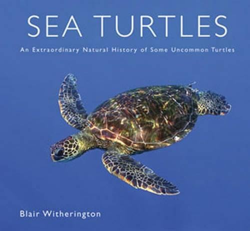 Imagen de archivo de Sea Turtles: An Extraordinary Natural History of Some Uncommon Turtles a la venta por SecondSale
