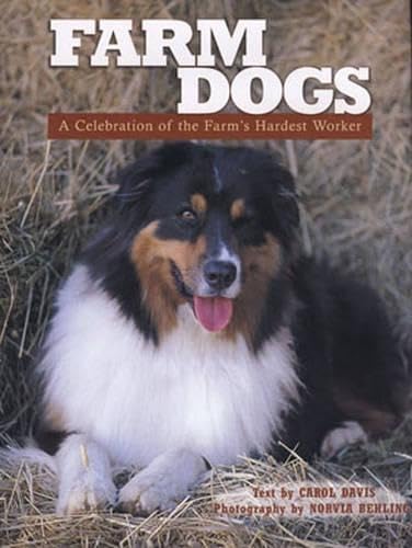 Farm Dogs: A Celebration of the Farm's Hardest Worker (9780760328019) by Davis, Carol