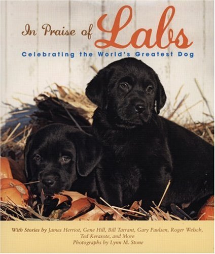 Stock image for In Praise of Labs : Celebrating the World's Greatest Dog for sale by Better World Books: West