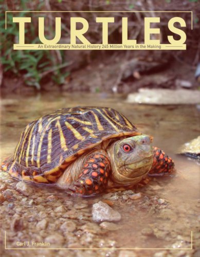 Stock image for Turtles : An Extraordinary Natural History 245 Million Years in the Making for sale by Better World Books: West