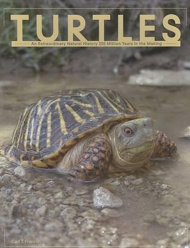 Stock image for Turtles: An Extraordinary Natural History 245 Million Years in the Making for sale by ThriftBooks-Atlanta