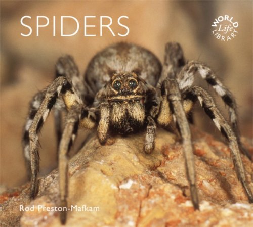 Imagen de archivo de Spiders (WorldLife Library) a la venta por BargainBookStores