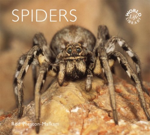 Stock image for Spiders (WorldLife Library) for sale by BargainBookStores