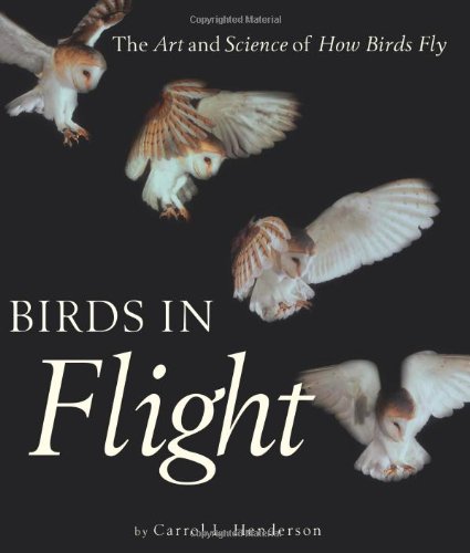 Imagen de archivo de Birds in Flight: The Art and Science of How Birds Fly a la venta por SecondSale