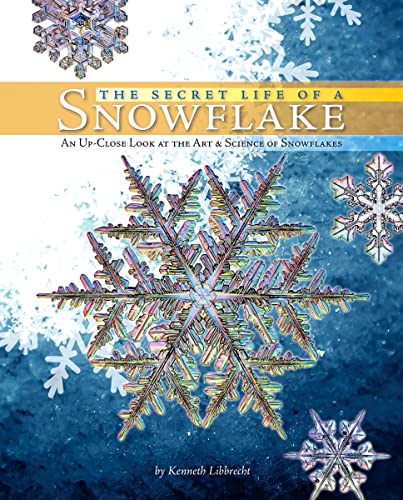 Imagen de archivo de The Secret Life of a Snowflake: An Up-Close Look at the Art and Science of Snowflakes a la venta por Goodwill Books