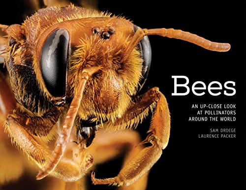 9780760347386: Bees: An Up-Close Look at Pollinators Around the World