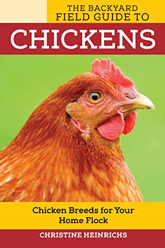 Stock image for The Backyard Field Guide to Chickens: Chicken Breeds for Your Home Flock (Voyageur Field Guides) for sale by BooksRun