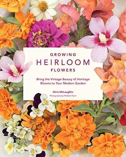 Stock image for Growing Heirloom Flowers: Bring the Vintage Beauty of Heritage Blooms to Your Modern Garden for sale by New Legacy Books