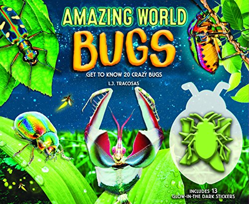 Imagen de archivo de Amazing World: Bugs: Get To Know 20 Crazy Bugs a la venta por Books Unplugged