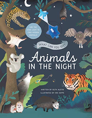 9780760363164: What Can You See? Animals in the Night: Use the Star Light to Find Hidden Animals!
