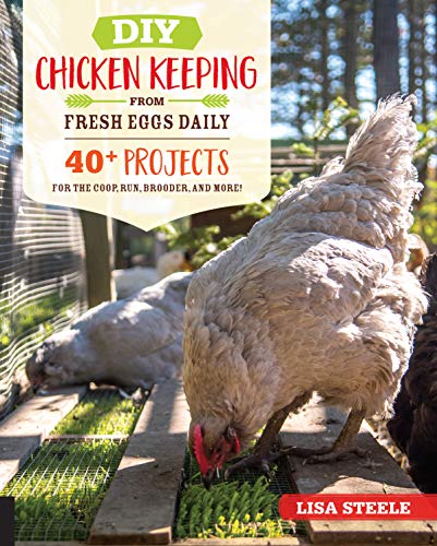 Stock image for DIY Chicken Keeping from Fresh Eggs Daily: 40+ Projects for the Coop, Run, Brooder, and More! for sale by Zoom Books Company