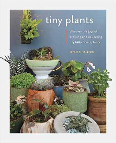 Beispielbild fr Tiny Plants : Discover the Joys of Growing and Collecting Itty-Bitty Houseplants zum Verkauf von Better World Books