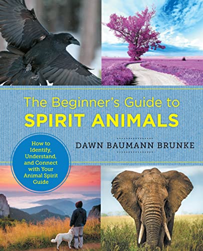 9780760379943: The Beginner's Guide to Spirit Animals: How to Identify, Understand, and Connect with Your Animal Spirit Guide (New Shoe Press)