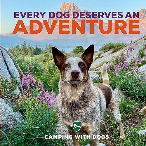 Imagen de archivo de Every Dog Deserves an Adventure : Amazing Stories of Camping with Dogs a la venta por Better World Books