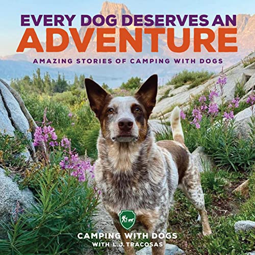 Stock image for Every Dog Deserves an Adventure: Amazing Stories of Camping with Dogs for sale by HPB-Ruby